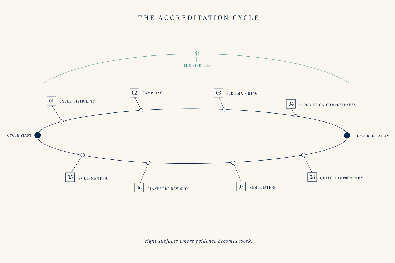 Editorial scientific-journal figure on cream paper titled THE ACCREDITATION CYCLE. A long horizontal navy hairline ellipse spans the page, anchored at left and right by binding markers labeled CYCLE START and REACCREDITATION. Eight small numbered intervention markers sit along the ellipse, labeled in small caps: CYCLE VISIBILITY, SAMPLING, PEER MATCHING, APPLICATION COMPLETENESS, EQUIPMENT QC, STANDARDS REVISION, REMEDIATION, QUALITY IMPROVEMENT. A muted-teal hairline arc spans the apex, anchoring a footnote glyph labeled THE PIPELINE.